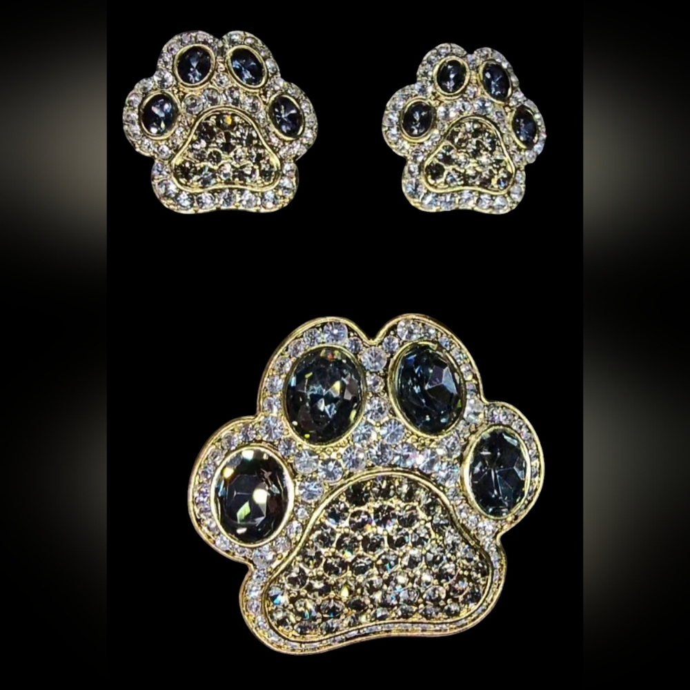 AUTHENTIC Heidi Daus Paw Pin And Earrings BLACK